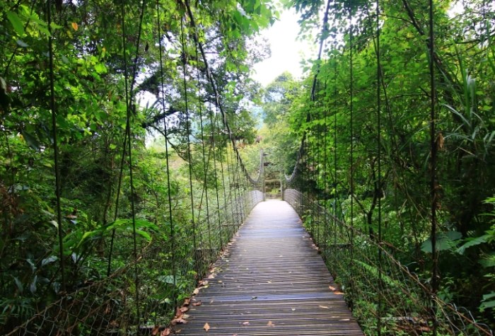 嘉義步道